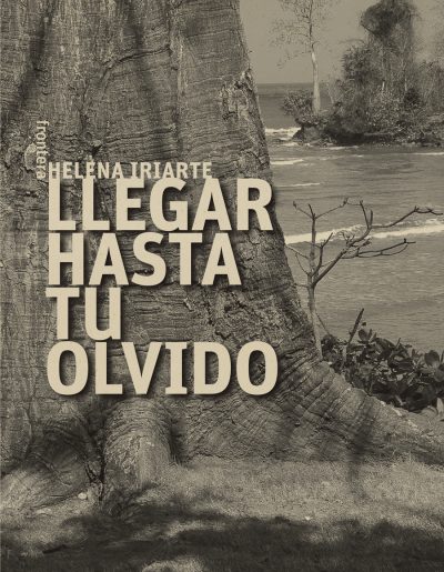 Llegar hasta tu olvido, de Helena Iriarte